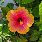 Mary K Keffer Danforth - @maryklstr7 - Instagram