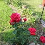 Mary Kelsay - Facebook