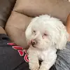 Mary Kelsay - @jacob.kelsay - TikTok