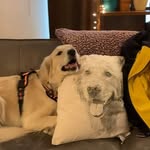 Mary Kensinger - @kensinger.mary - Instagram