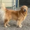 Mary Kenton - @mary.kenton - TikTok