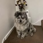 Mary Kettle - @marykettle1962 - Instagram