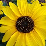 Mary Catherine Fedor Kibler - @fedormary - Instagram