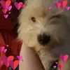 Mary Kight - @marykight - TikTok