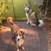 Mary Kinnebrew - Facebook