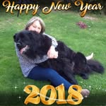 Mary Kingham - @mary.kingham.newf - Instagram