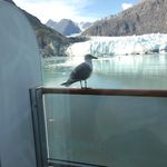Mary Kinzer - @kinzer798 - Instagram
