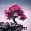 kirschblüte🌸 - @kirsch_baum - TikTok