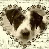 Mary Kitchin - @marykitchin - TikTok