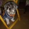 Mary Kittrell - @mary.kittrell - TikTok