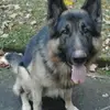 Marie-luise Kleinert - @mkleinert14 - TikTok