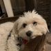 Mary Klem - Facebook