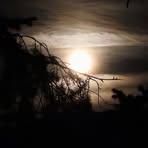Marion Kloth - Facebook