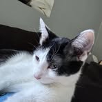 Mary Kloth - Facebook
