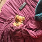 Mary Schmutzler - @marykloth - Instagram