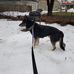 Mary Knickerbocker - Facebook