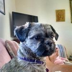 Mary Knudson - @knudson7612 - Instagram
