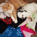 Mary Knudson - Facebook