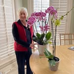 Mary Claire Koepp Wolfe - @mcorchids - Instagram