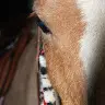 Mary Koeppel - @marykoeppel0 - TikTok