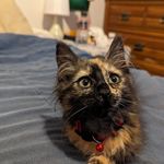 Mary Koll - @marykoll - Instagram