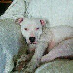 Mary Koonce - @bow_tiez_ - Instagram
