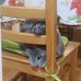 Maria Korpal - Facebook