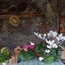 Mary Kos - Facebook