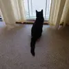 marykovacs - @mary.kovacs4 - TikTok