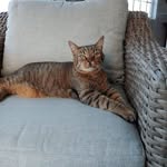 Mary Krick - @mary.krick.75 - Instagram