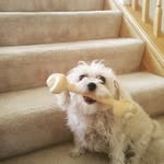 Mary Krick - @krick1724 - Instagram