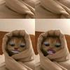 mary_kriz1 - @mary_kriz1 - TikTok
