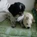Mary Krone - Facebook