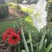 Mary Kroner - Facebook