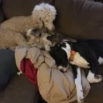 Mary Kuehner - @kuehnermary - Instagram