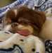 Mary Kuehner - Facebook