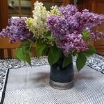 Mary Apanasewicz Kulish - @kulishmary - Instagram