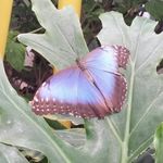 Mary Kuras - @kurasmary - Instagram