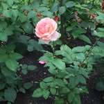 mary_kutcher - @mary_kutcher - Instagram