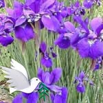 Mary Bamber LaBorde - @mary.b.laborde - Instagram