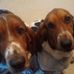 Mary LaBounty - Facebook