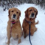 Mary LaForest - @mary.laforest.568 - Instagram