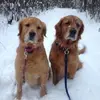 marylaforest8 - @marylaforest8 - TikTok