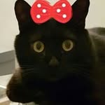 Mary Lalli - @tatatatina98 - Instagram