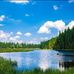Mary Lally - Facebook