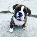 @mary_lanctot23 - Instagram