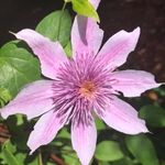 Mary Langill - @mary.langill.9 - Instagram