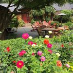 Mary Langland - @maolangland - Instagram