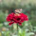 Mary Langlands - Facebook