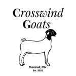 Boer Goat Breeder: Mary Lanoue - @crosswind_goats - Instagram